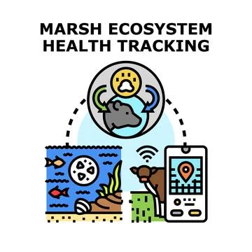 Marsh ecosystem health tracking using modern technology Stock Illustration