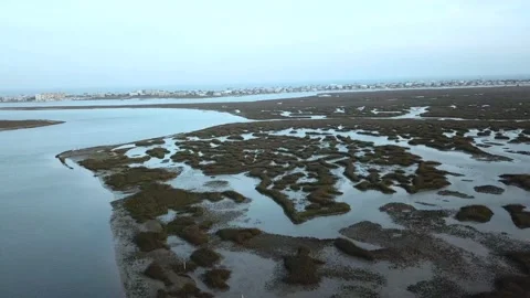 Marsh fly over Stock Footage
