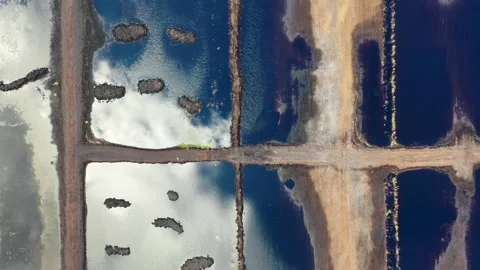 Marsh Stock Footage 141795139