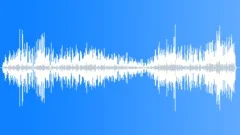 Marsh Frog Breeding SeasonSound Effect