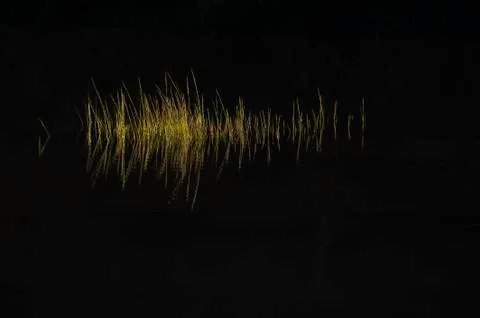 Marsh grass Slocums River Stock Photos