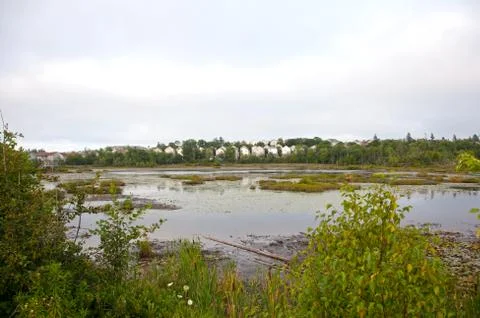 A marsh with homes behind Stock Photos