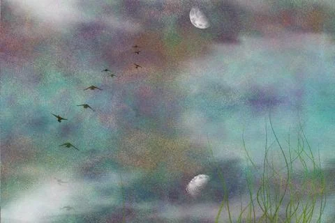 Marsh Stock Illustration