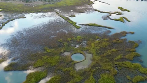Marsh islands Stock Footage 221425056