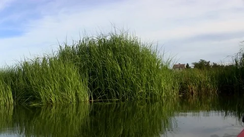 Marsh kayaking on Cape Cod Video stock 81928101