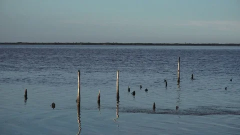 Marsh Lake Closer 動画素材 77410363