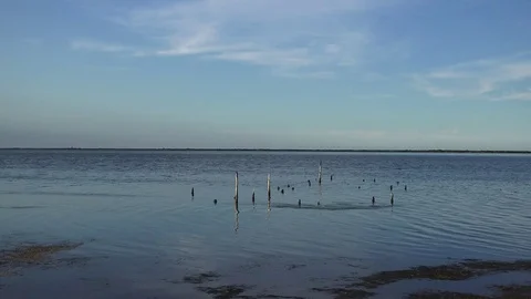 Marsh Lake 動画素材 77410410