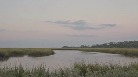 Marsh Land At Dusk Handheld 库存影片 205400271