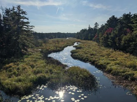 Marsh landscape with stream running through Stock-Fotos