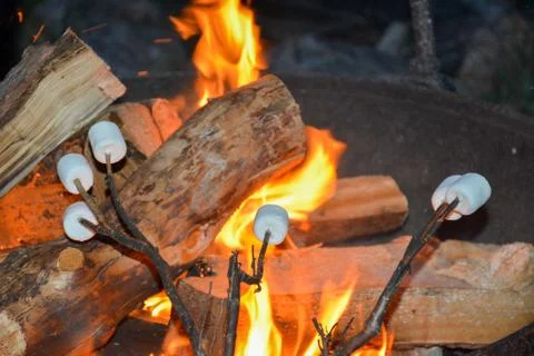 Marsh mallows roasting over an open log fire 写真素材