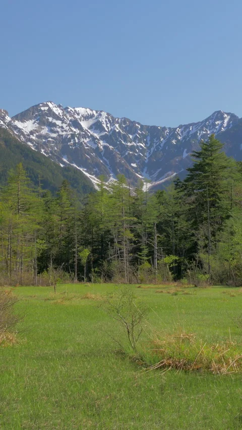 Marsh Meadow Below Snow Capped Mountain Vertical Video Stock-Footage 346002154