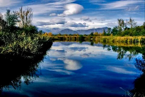 Marsh moor marshy 스톡 사진