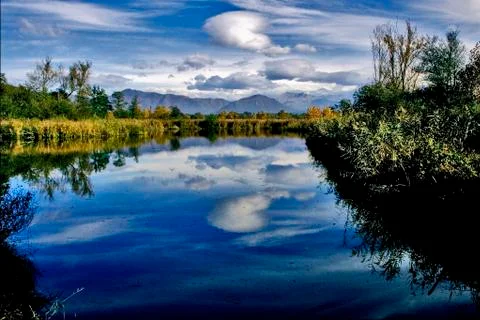Marsh moor 写真素材