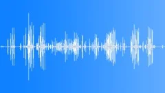 MARSH, NIGHTSound Effect