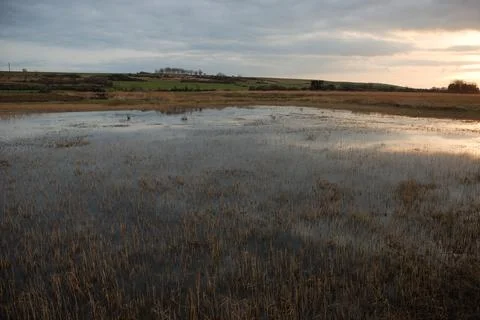Marsh in Normandy Stock Photos
