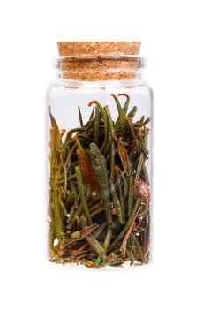 Marsh Northern Labrador Tea Ledum palustre in a bottle. Stock Photos