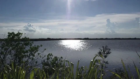 Marsh Pan 1 動画素材 77410404