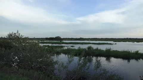 Marsh Pan 2 動画素材 77410373