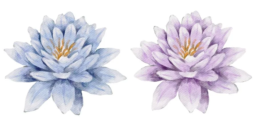 Marsh pattern design featuring frogs, dragonflies, and colorful water lilies Stock Illustration