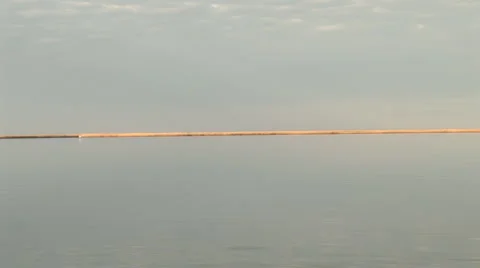 Marsh Pelican Видео 1129057