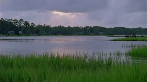 A Marsh with Reeds in Foreground and Clouds in Background Vídeo Stock 43669236