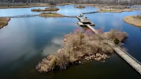 Marsh Spring 스톡 동영상 194954123