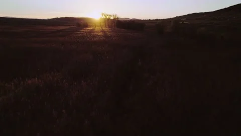 Marsh Sunset Fly Forward Rise Tilt Down Stock Footage 201740361