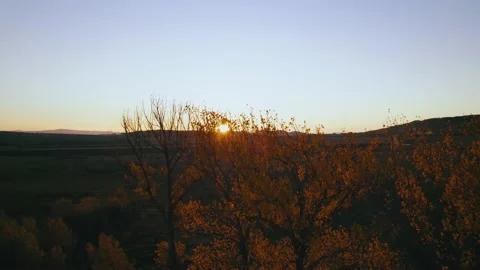 Marsh Sunset Trees Flair Rise Reveal Video stock 201480803