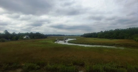 Marsh Swamp River 動画素材 82428146