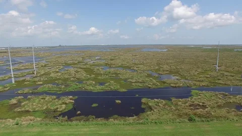 Marsh view from the Forty Arpent Canal Stock Footage 89779031