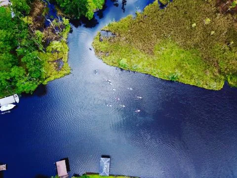 Marsh View Stock Photos