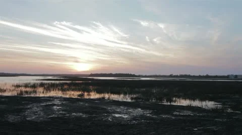 Marsh Wetlands Swamp Stock Footage 12421883