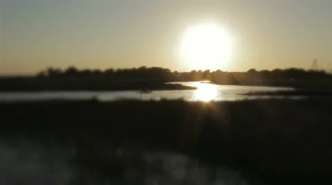 Marsh Wetlands Swamp Stock Footage 12422148