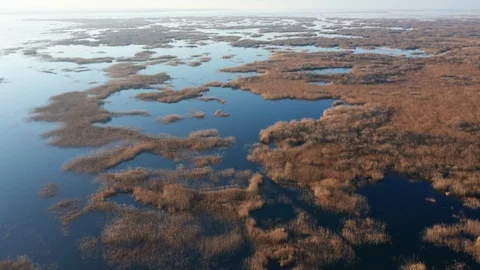 Marsh in winter - yellow grass in shallow water reflecting blue sky Stock Footage 127666278