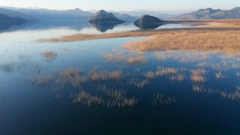 Marsh in winter - yellow reeds in blue water of Lake Skadar in Montenegro Video stock 124102453