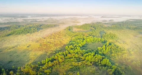 Marsh Zvaniec from the bird's eye view Stock Footage 309421237