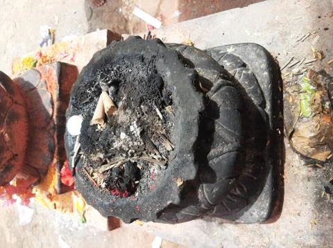 Marshal Stock Photos