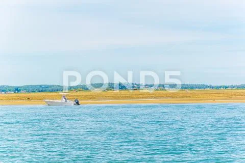 Marshes and oyster farms on the Ile aux Oiseaux near Arcachon, France. Stock Photos