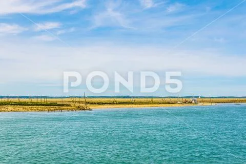 Marshes and oyster farms on the Ile aux Oiseaux near Arcachon, France. Stock Photos