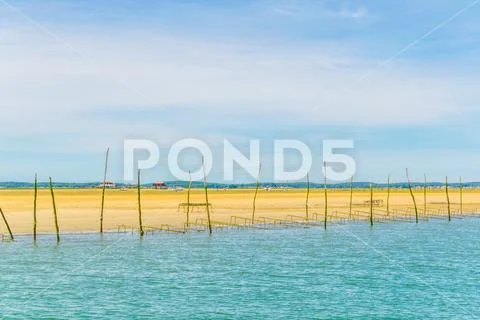 Marshes and oyster farms on the Ile aux Oiseaux near Arcachon, France. Stock Photos