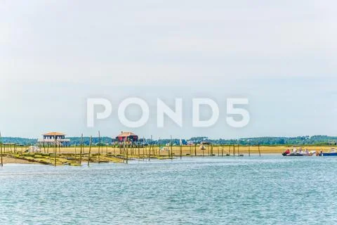 Marshes and oyster farms on the Ile aux Oiseaux near Arcachon, France. Stock Photos
