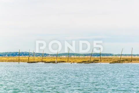 Marshes and oyster farms on the Ile aux Oiseaux near Arcachon, France. Stock Photos