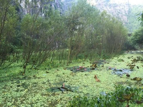 Marshes In A Mountain Range, Ninh Binh, Vietnam Stock Photos