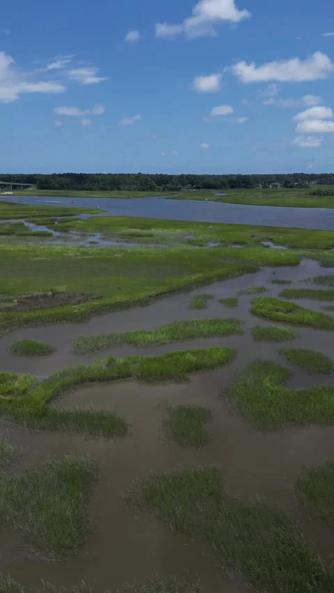 Marshes of Savannah Stock Footage 247741731