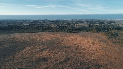 Marshland, Aerial View Video stock 88190910