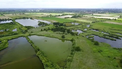 Marshland from the air Video stock 87419163
