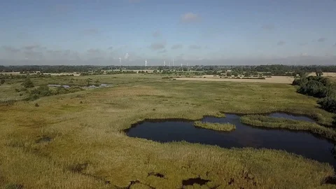 Marshland from the air Video stock 87442849
