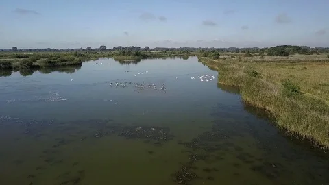 Marshland from the air Video stock 87443083