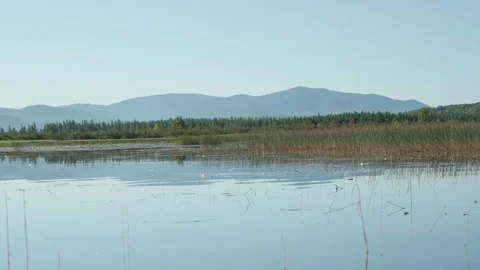 Marshland and Forest with Distant Mountains Under Clear Sky Stock Footage 324577374