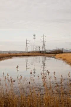 Marshland and pylons Stock Photos